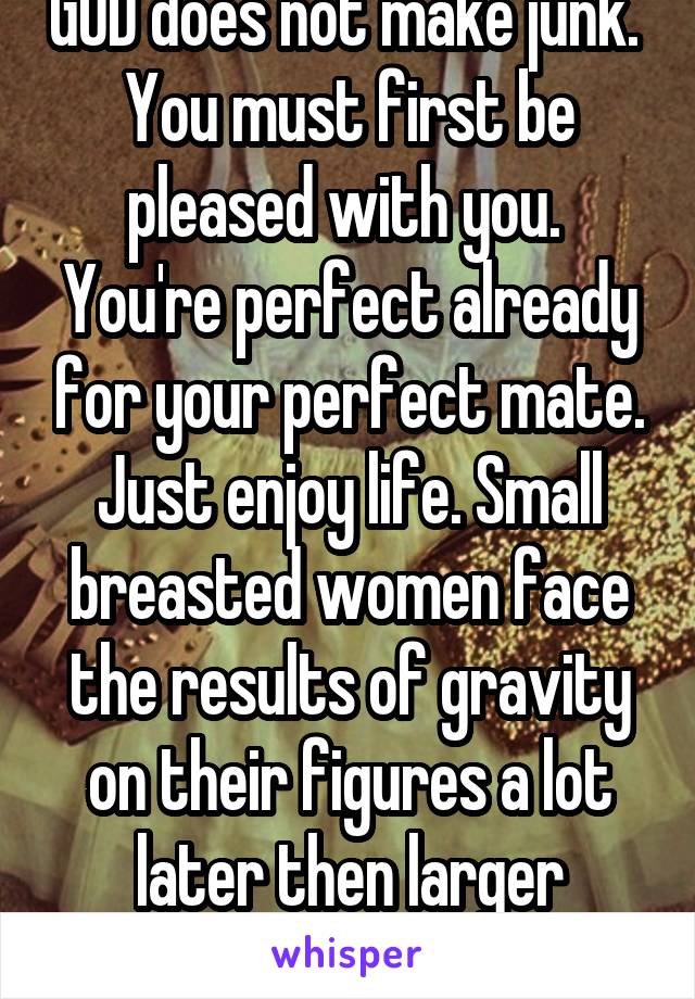 GOD does not make junk. 
You must first be pleased with you. 
You're perfect already for your perfect mate. Just enjoy life. Small breasted women face the results of gravity on their figures a lot later then larger women  