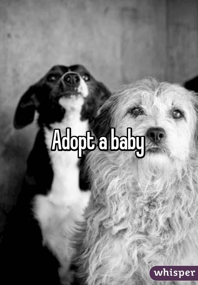 Adopt a baby 