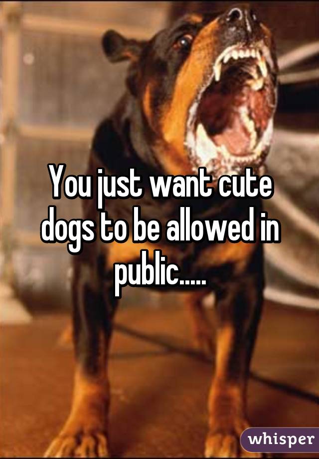 You just want cute dogs to be allowed in public.....