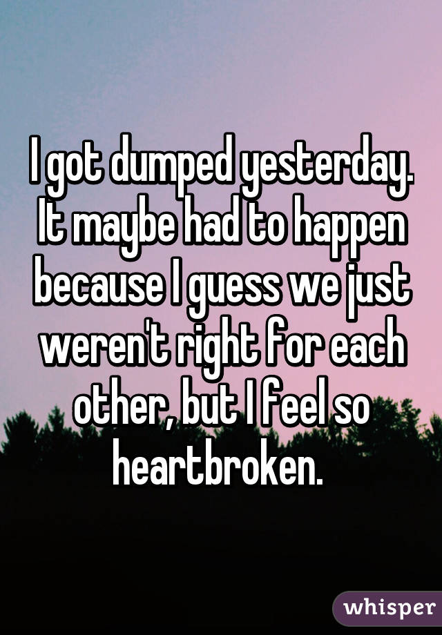 I got dumped yesterday. It maybe had to happen because I guess we just weren't right for each other, but I feel so heartbroken. 