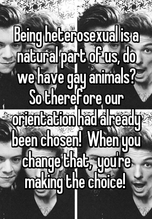 no-gay-animals-just-another-apostate