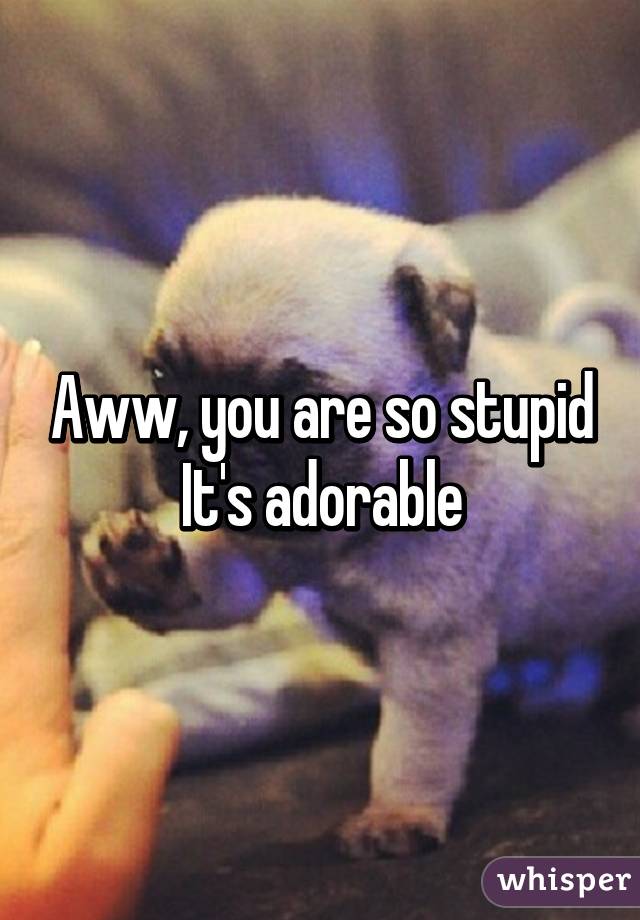 Aww, you are so stupid It's adorable