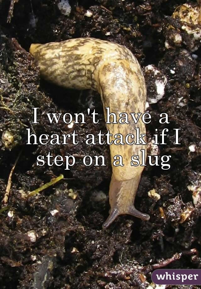 I won't have a heart attack if I step on a slug