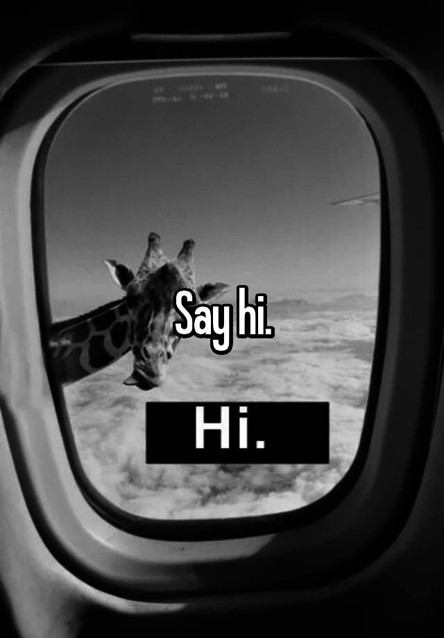 say-hi