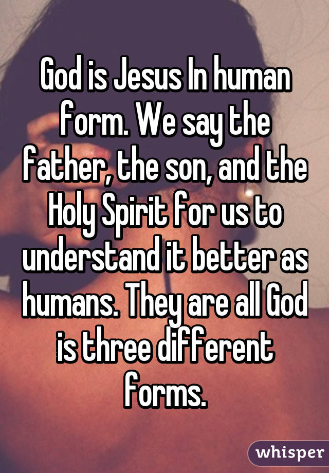 God is Jesus In human form. We say the father, the son, and the Holy Spirit for us to understand it better as humans. They are all God is three different forms.