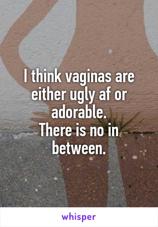I think vaginas are either ugly af or adorable.
There is no in between.
