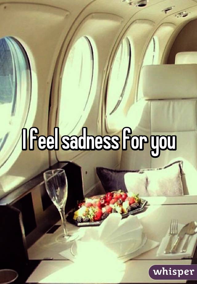 I feel sadness for you