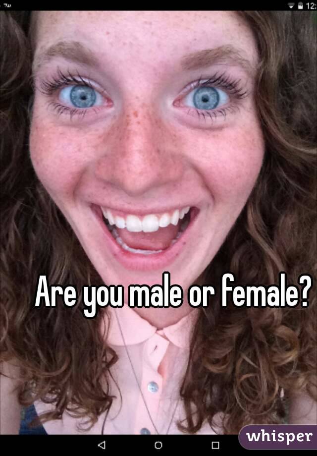 Are you male or female?