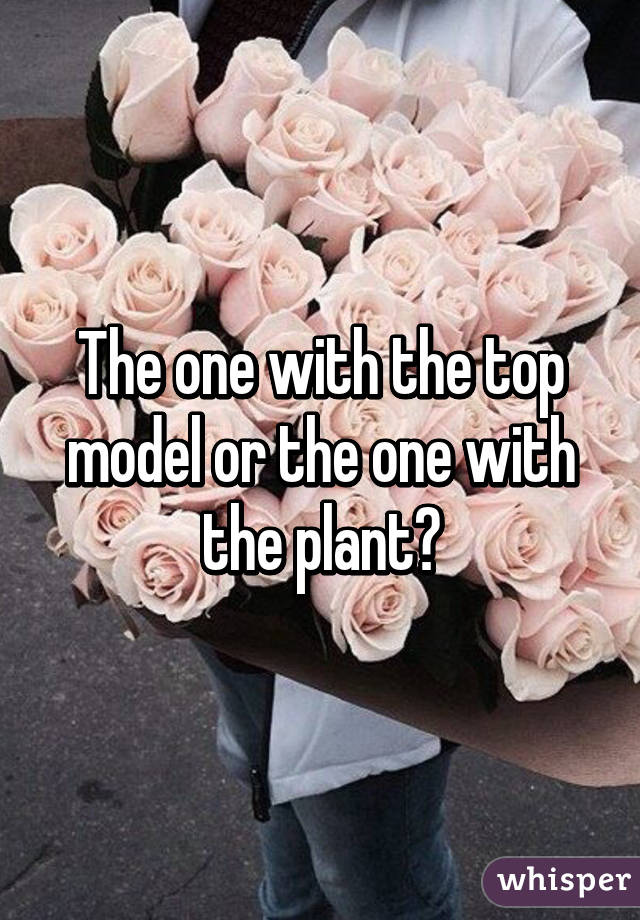 The one with the top model or the one with the plant?