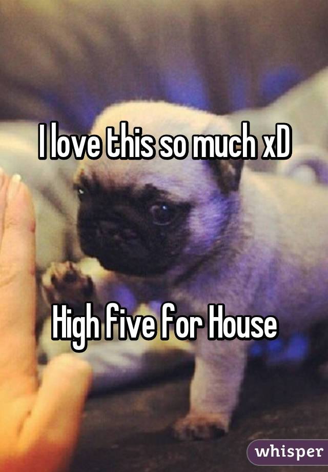 I love this so much xD



High five for House