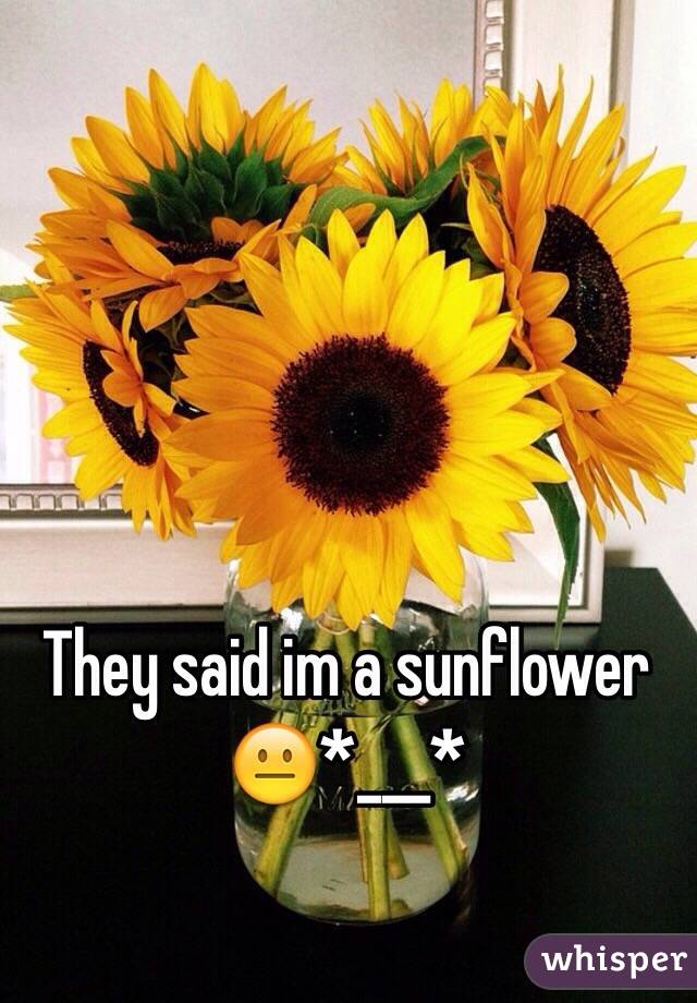 They said im a sunflower 😐*___*