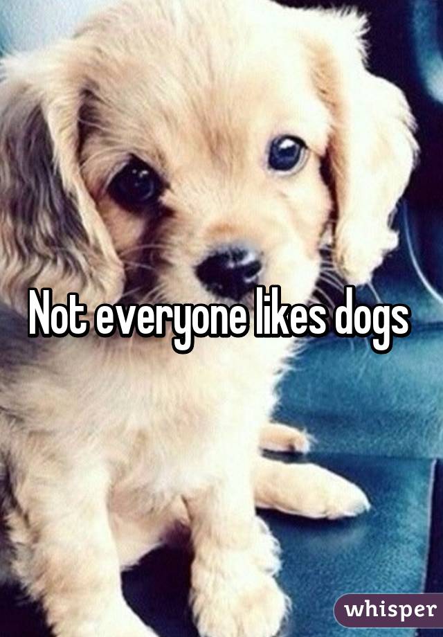 Not everyone likes dogs 