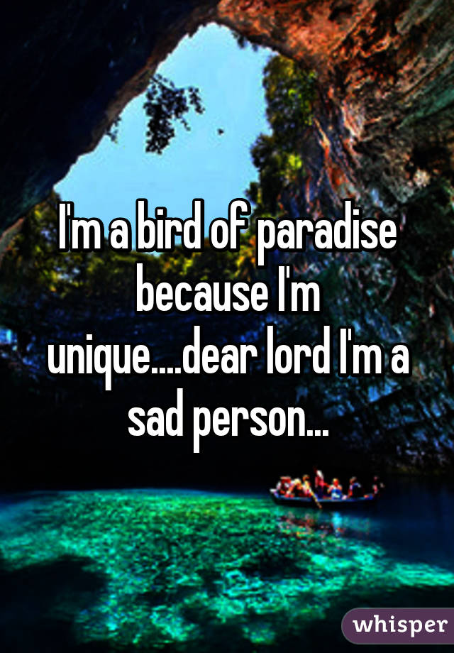 I'm a bird of paradise because I'm unique....dear lord I'm a sad person...