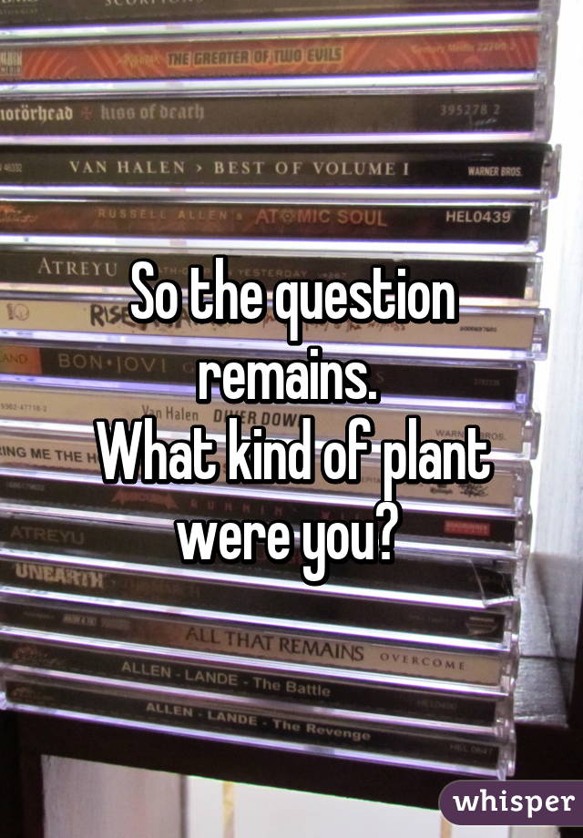 So the question remains. 
What kind of plant were you? 