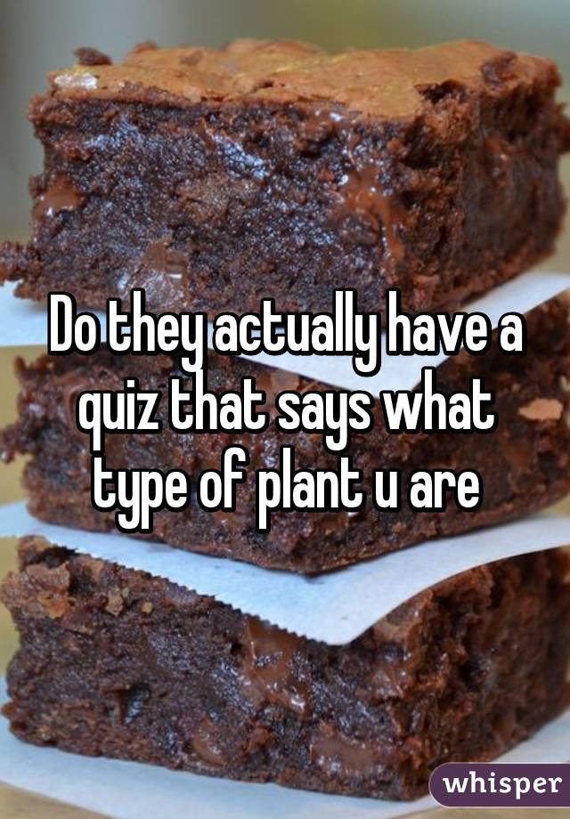 Do they actually have a quiz that says what type of plant u are