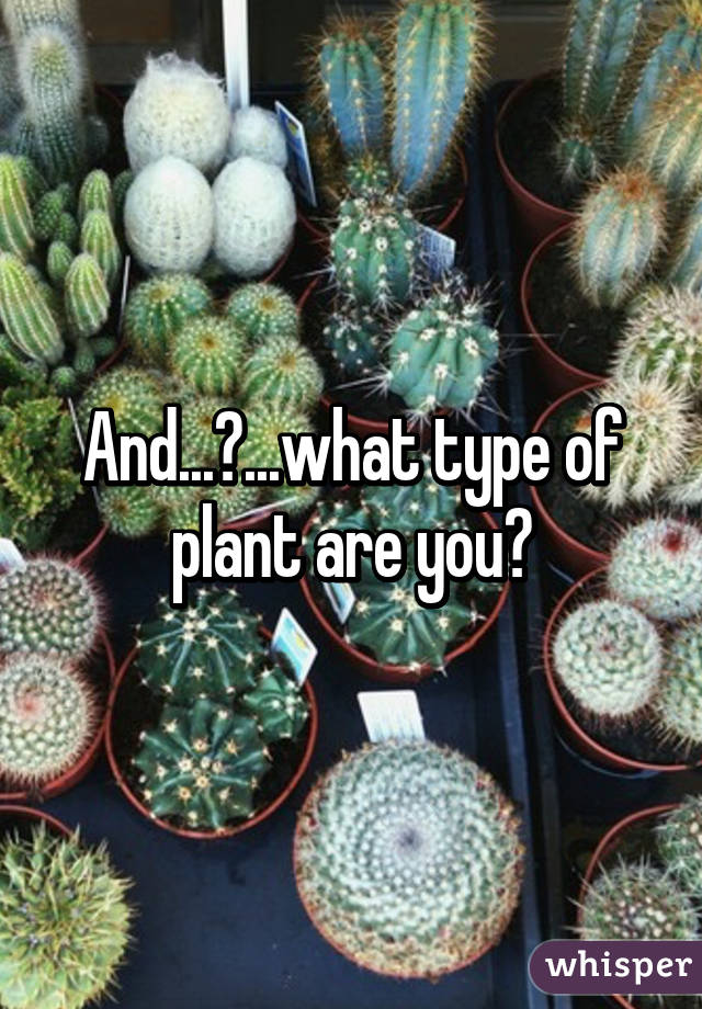 And...?...what type of plant are you?