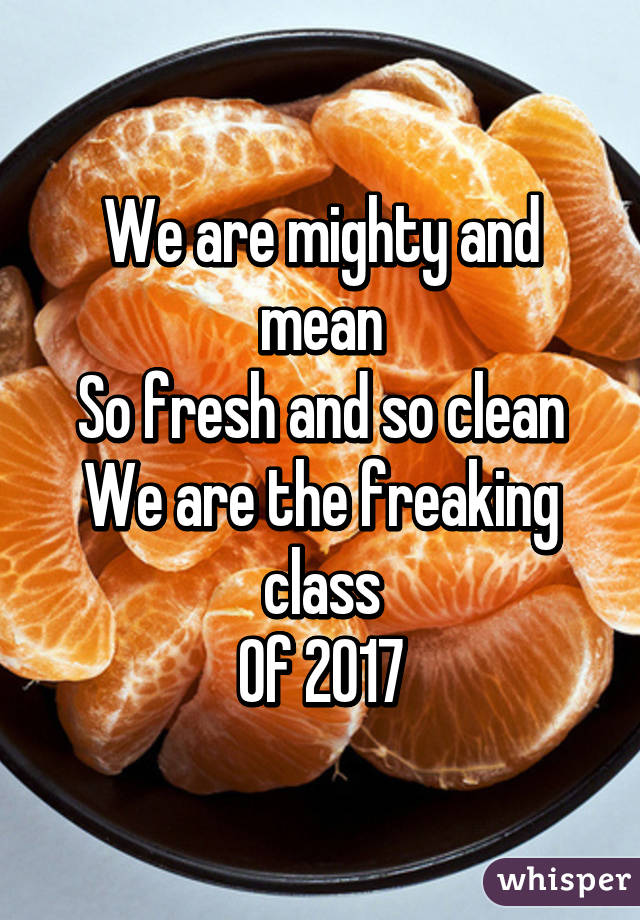 We are mighty and mean
So fresh and so clean
We are the freaking class
Of 2017