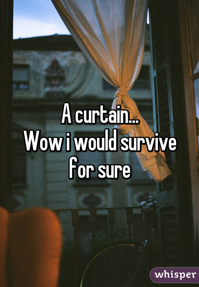 A curtain...
Wow i would survive for sure