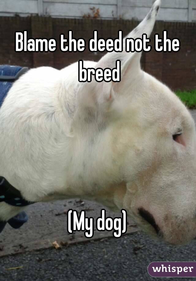 Blame the deed not the breed




(My dog)