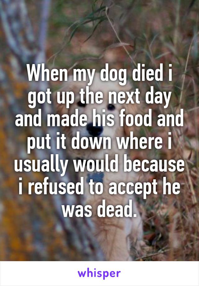 When my dog died i got up the next day and made his food and put it down where i usually would because i refused to accept he was dead.