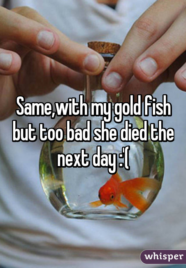 Same,with my gold fish but too bad she died the next day :'(