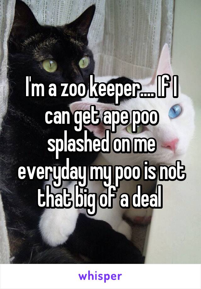 I'm a zoo keeper.... If I can get ape poo splashed on me everyday my poo is not that big of a deal 