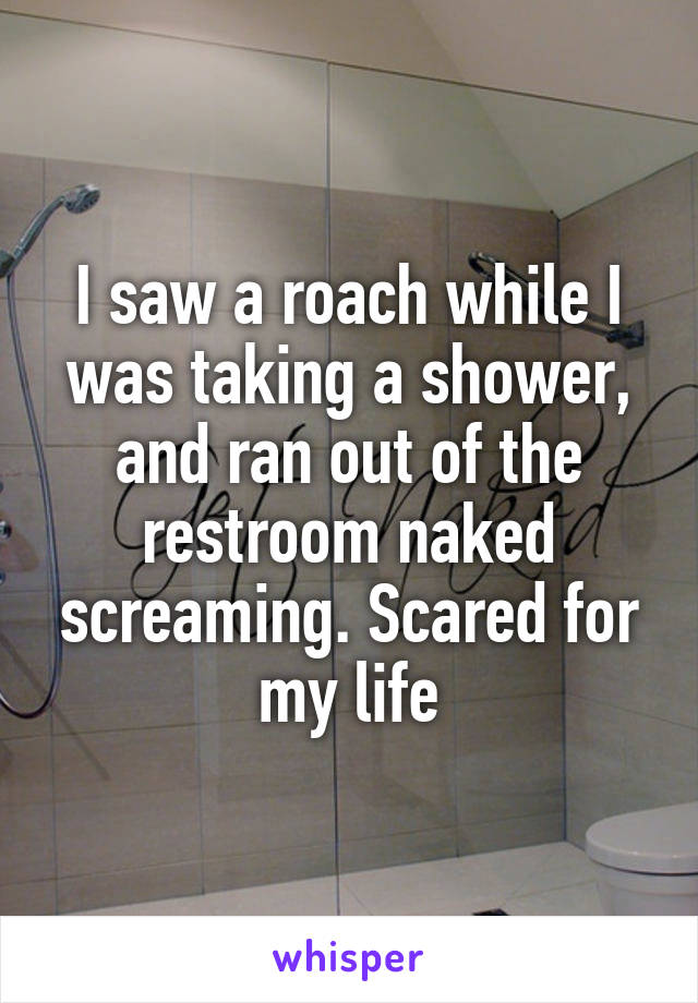 I saw a roach while I was taking a shower, and ran out of the restroom naked screaming. Scared for my life
