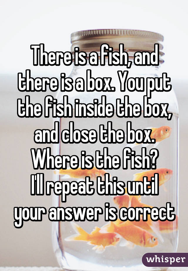 There is a fish, and there is a box. You put the fish inside the box, and close the box. Where is the fish?
I'll repeat this until your answer is correct