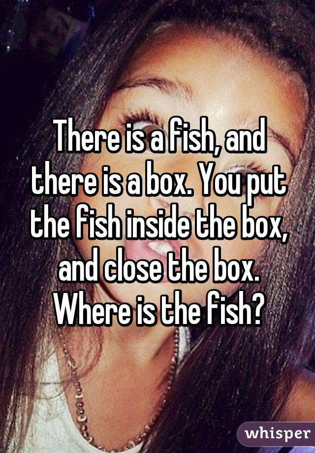 There is a fish, and there is a box. You put the fish inside the box, and close the box. Where is the fish?