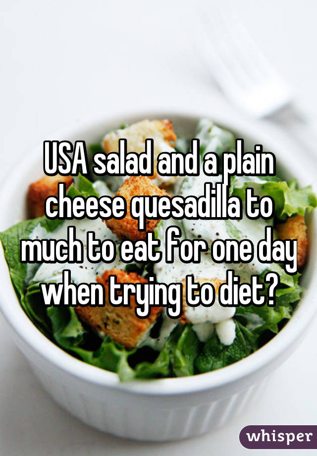 USA salad and a plain cheese quesadilla to much to eat for one day when trying to diet?