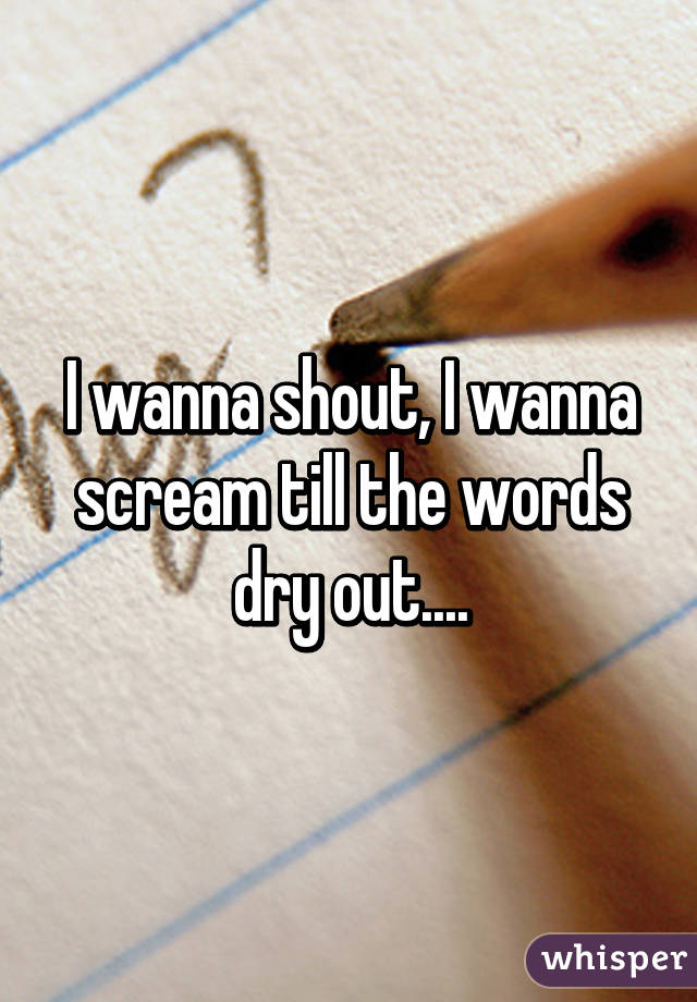 I wanna shout, I wanna scream till the words dry out....