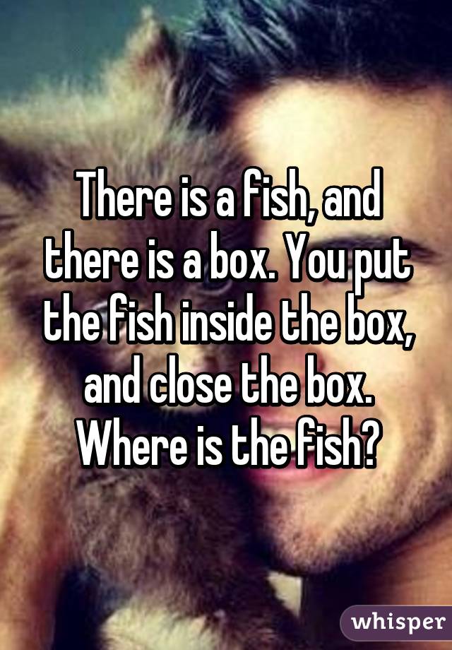 There is a fish, and there is a box. You put the fish inside the box, and close the box. Where is the fish?