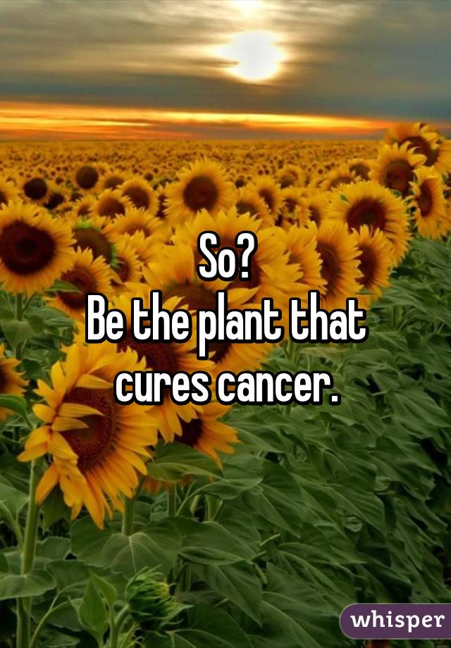So?
Be the plant that cures cancer.