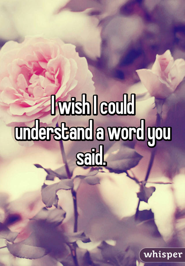 I wish I could understand a word you said. 