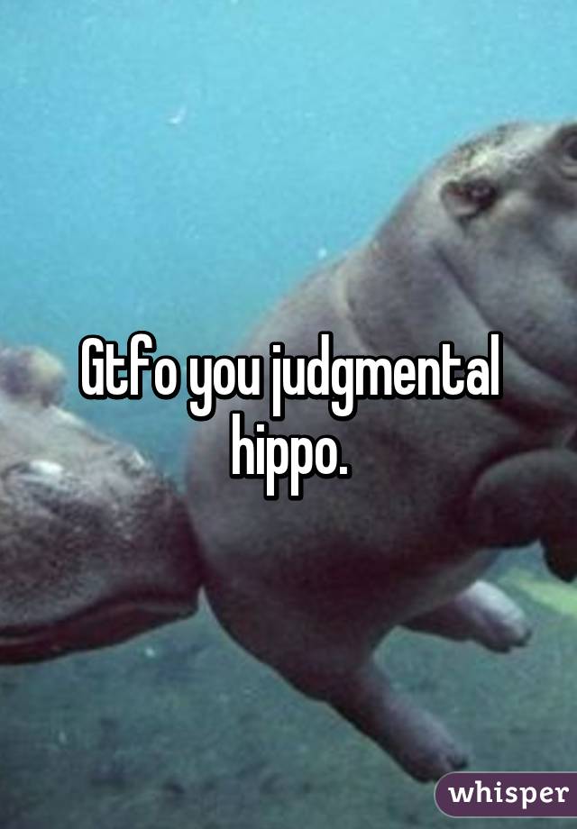 Gtfo you judgmental hippo.