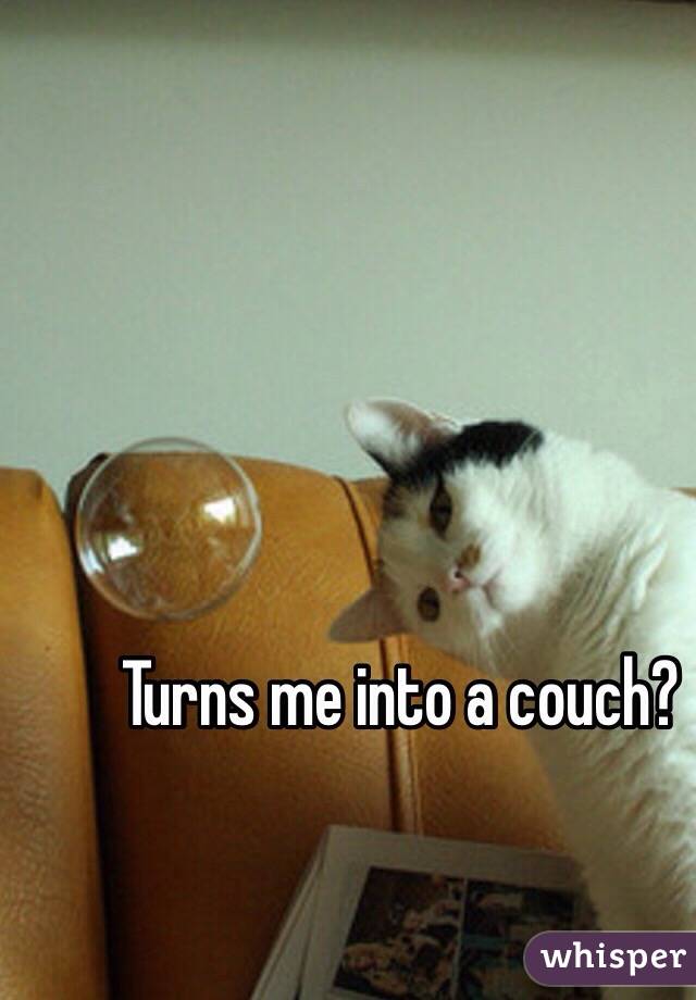 Turns me into a couch?
