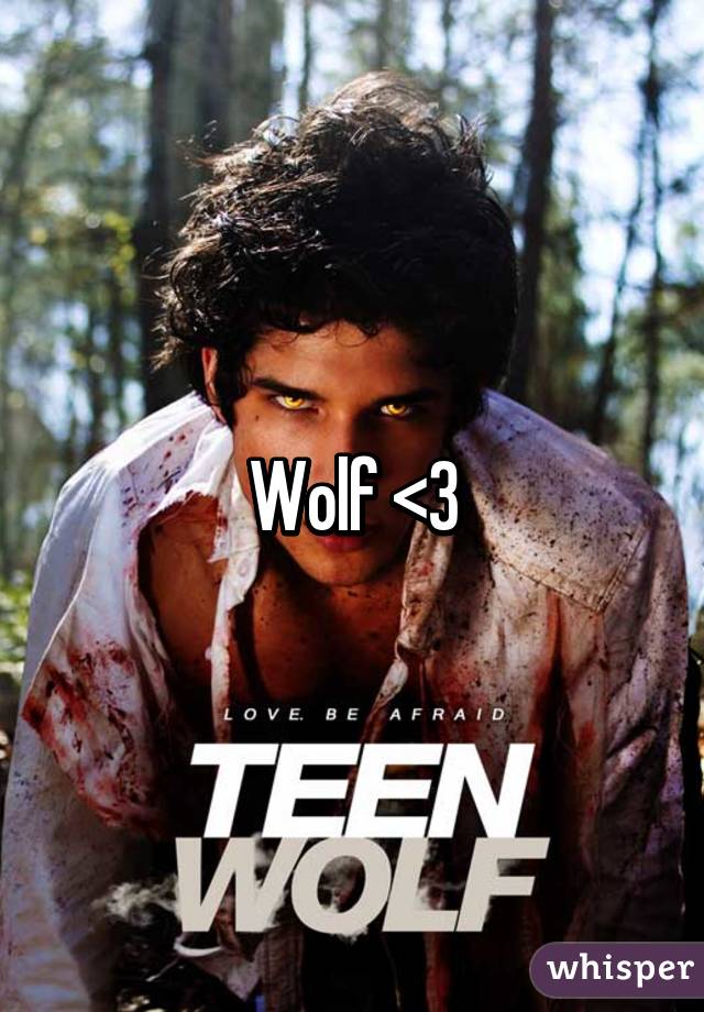 Wolf <3