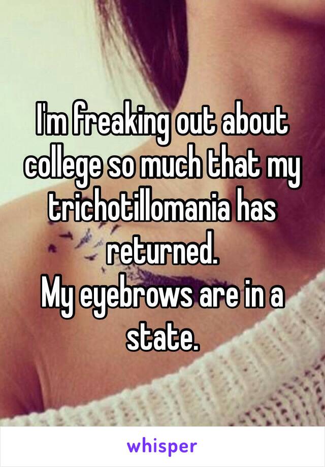 I'm freaking out about college so much that my trichotillomania has returned.
My eyebrows are in a state. 