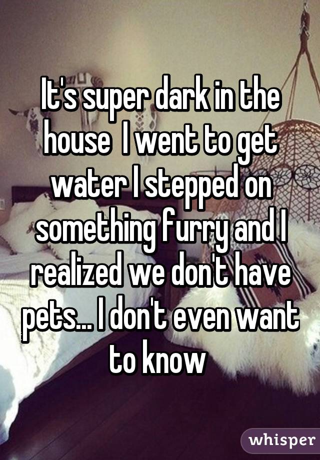 It's super dark in the house  I went to get water I stepped on something furry and I realized we don't have pets... I don't even want to know 