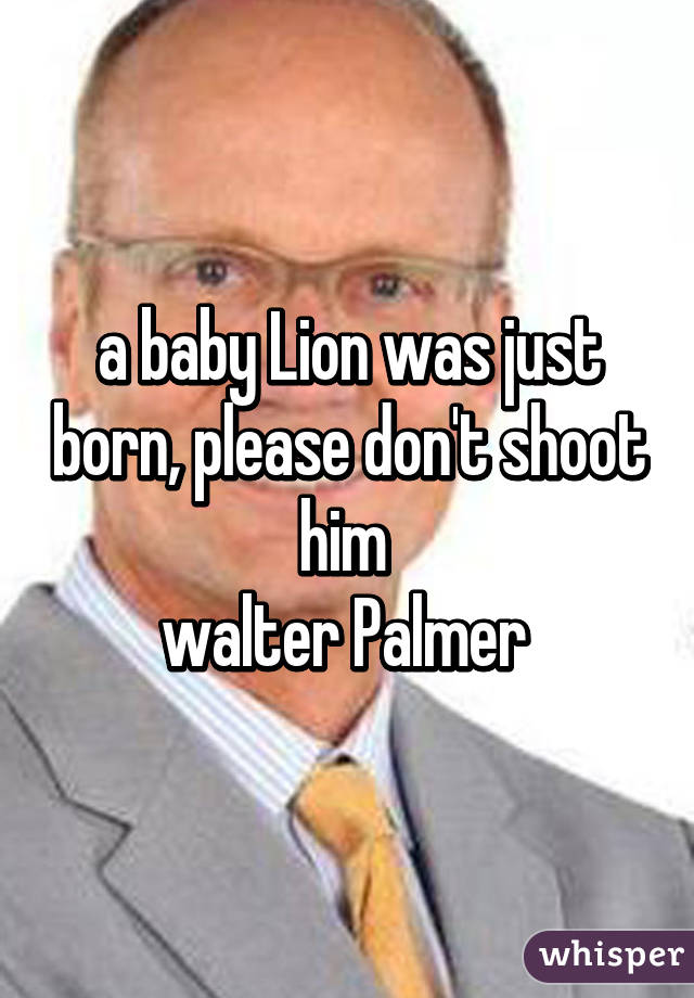 a baby Lion was just born, please don't shoot him 
walter Palmer 
