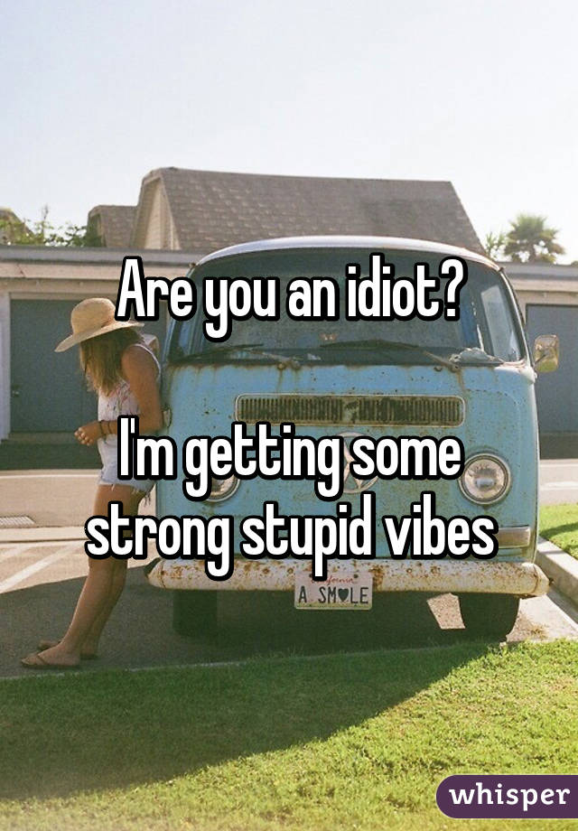 Are you an idiot?

I'm getting some strong stupid vibes