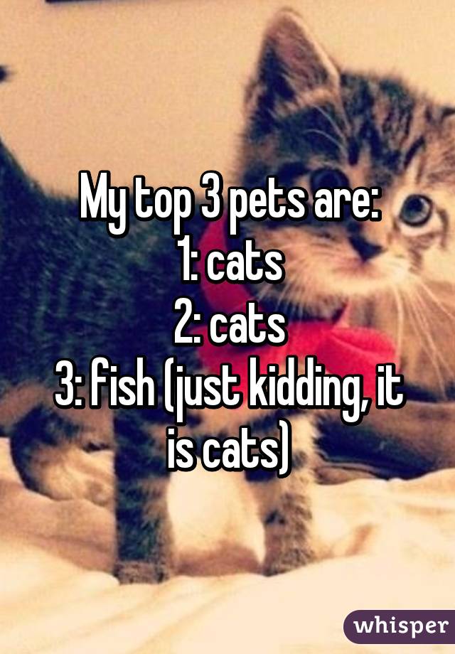 My top 3 pets are:
1: cats
2: cats
3: fish (just kidding, it is cats)