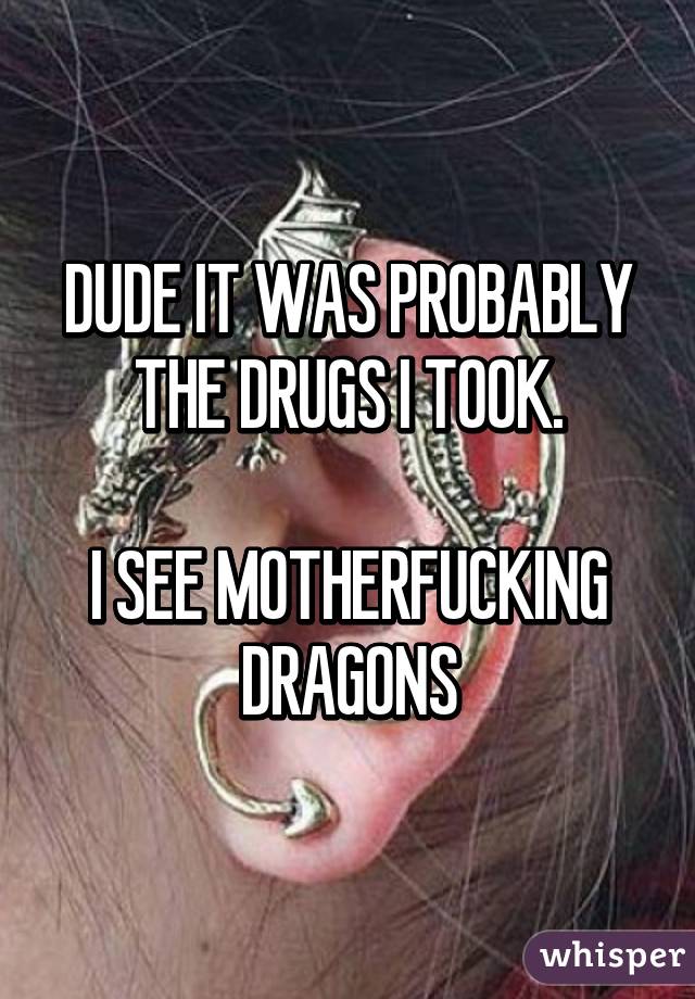 DUDE IT WAS PROBABLY THE DRUGS I TOOK.

I SEE MOTHERFUCKING DRAGONS