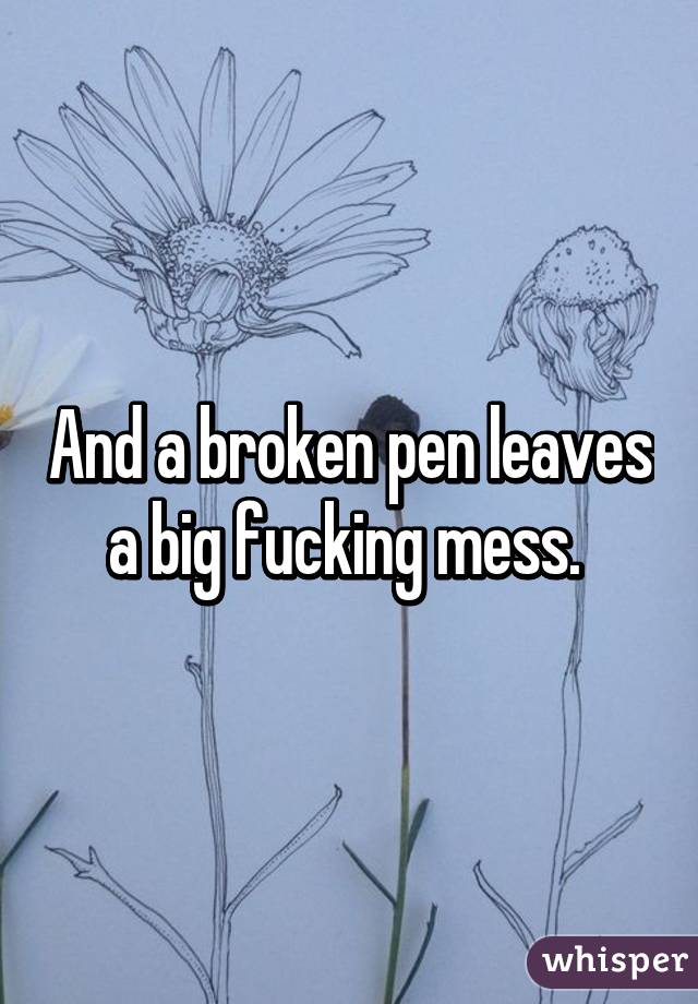 And a broken pen leaves a big fucking mess. 