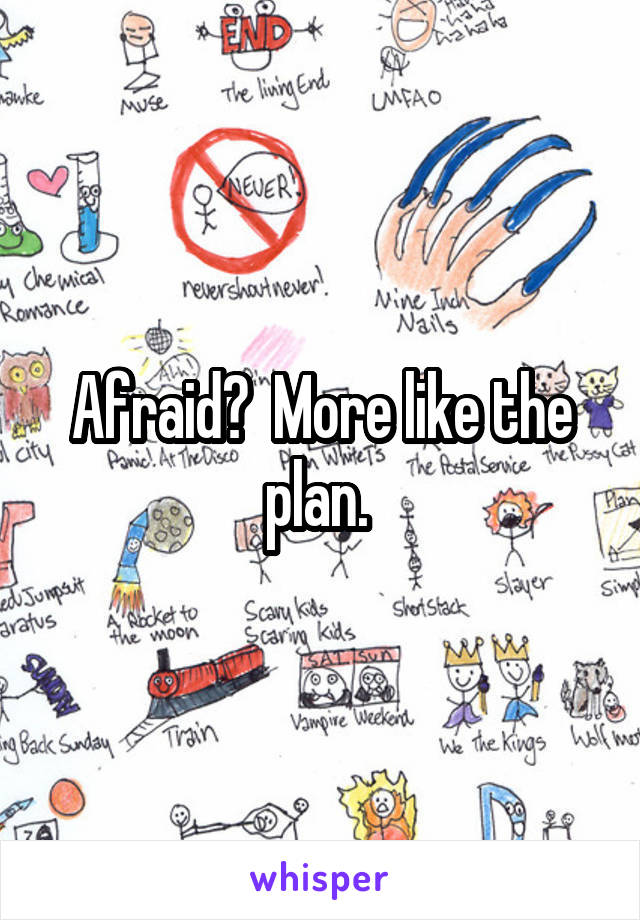 Afraid?  More like the plan. 