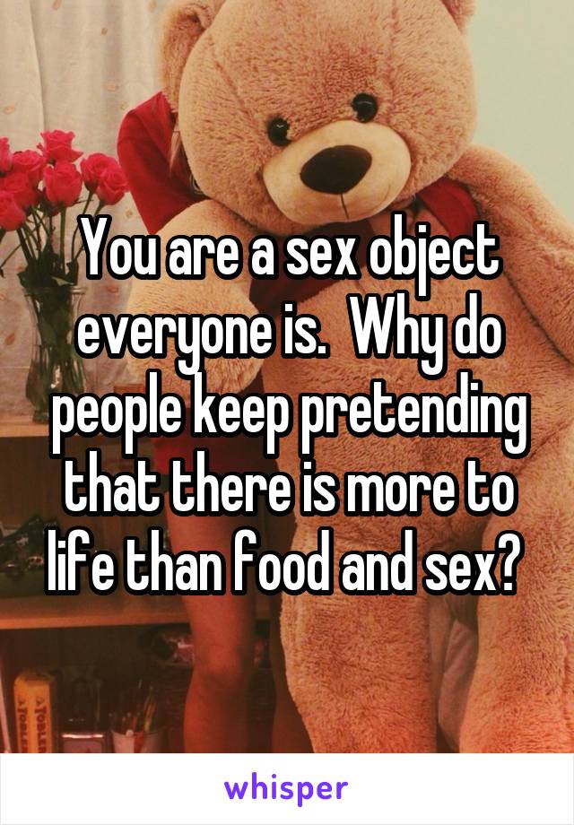 You are a sex object everyone is.  Why do people keep pretending that there is more to life than food and sex? 