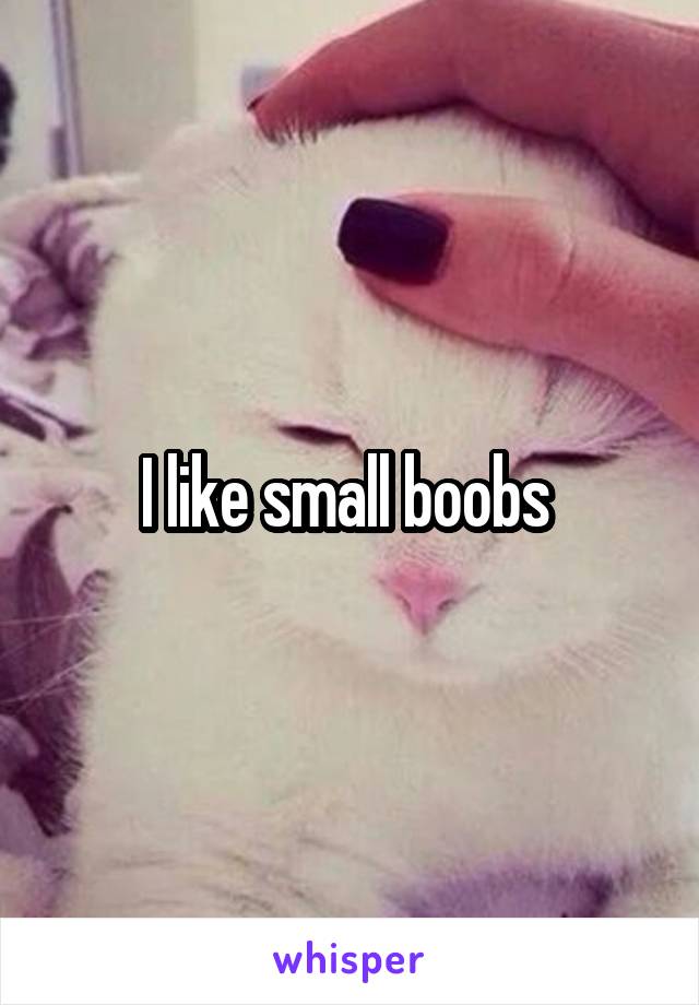 I like small boobs 