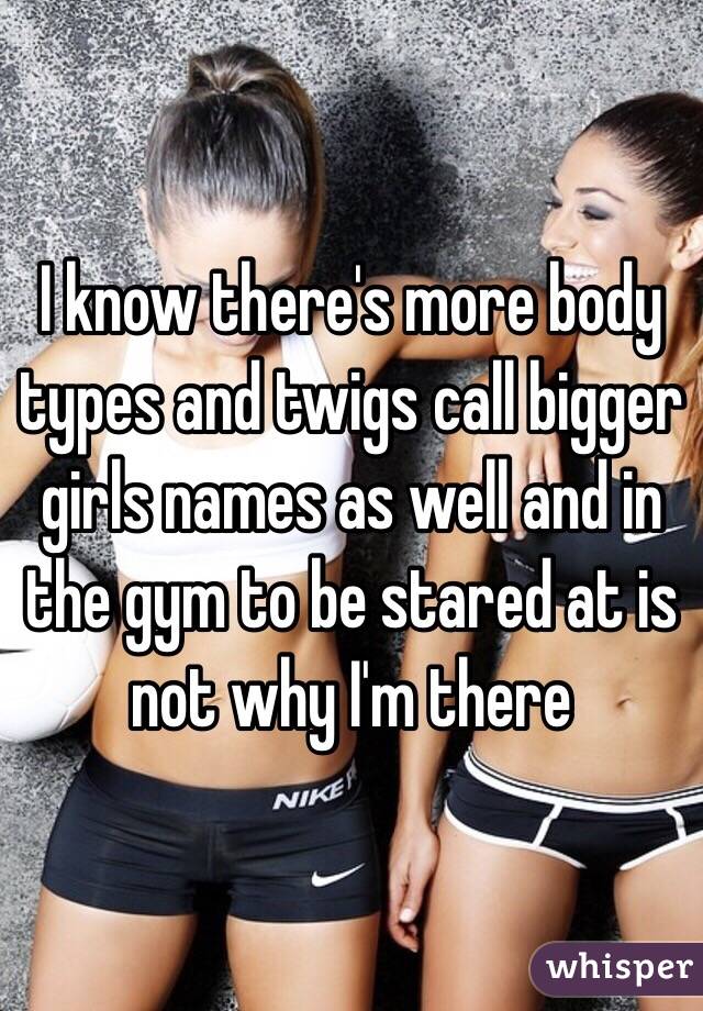 I know there's more body types and twigs call bigger girls names as well and in the gym to be stared at is not why I'm there 