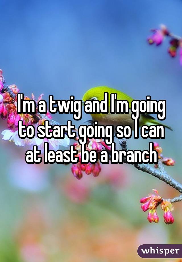 I'm a twig and I'm going to start going so I can at least be a branch