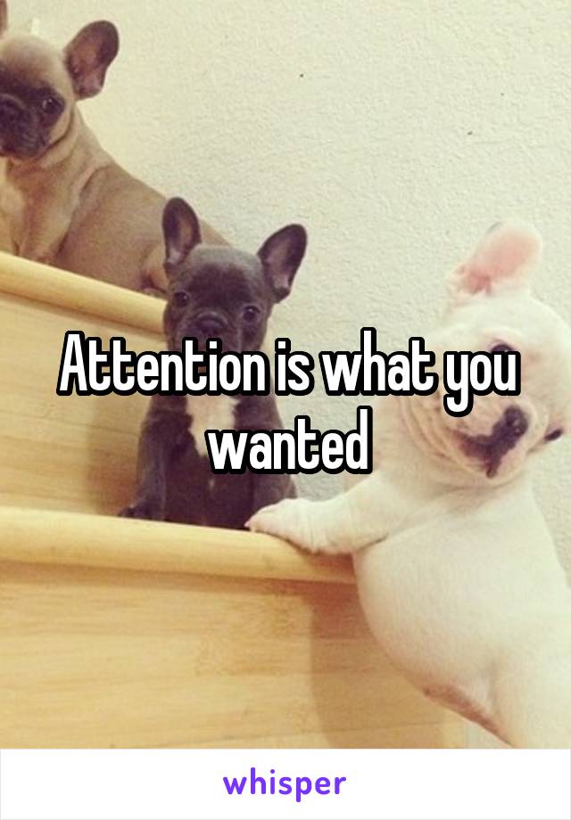 Attention is what you wanted